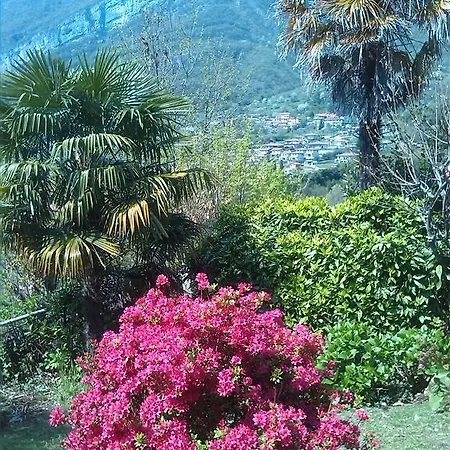Casa Vacanze 100 Palme