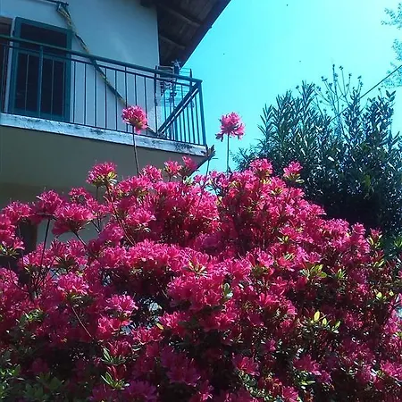 Casa Vacanze 100 Palme