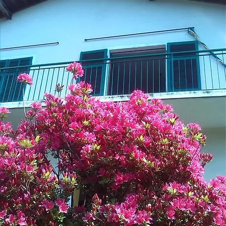 Ferienhaus Casa Vacanze 100 Palme Tremezzo